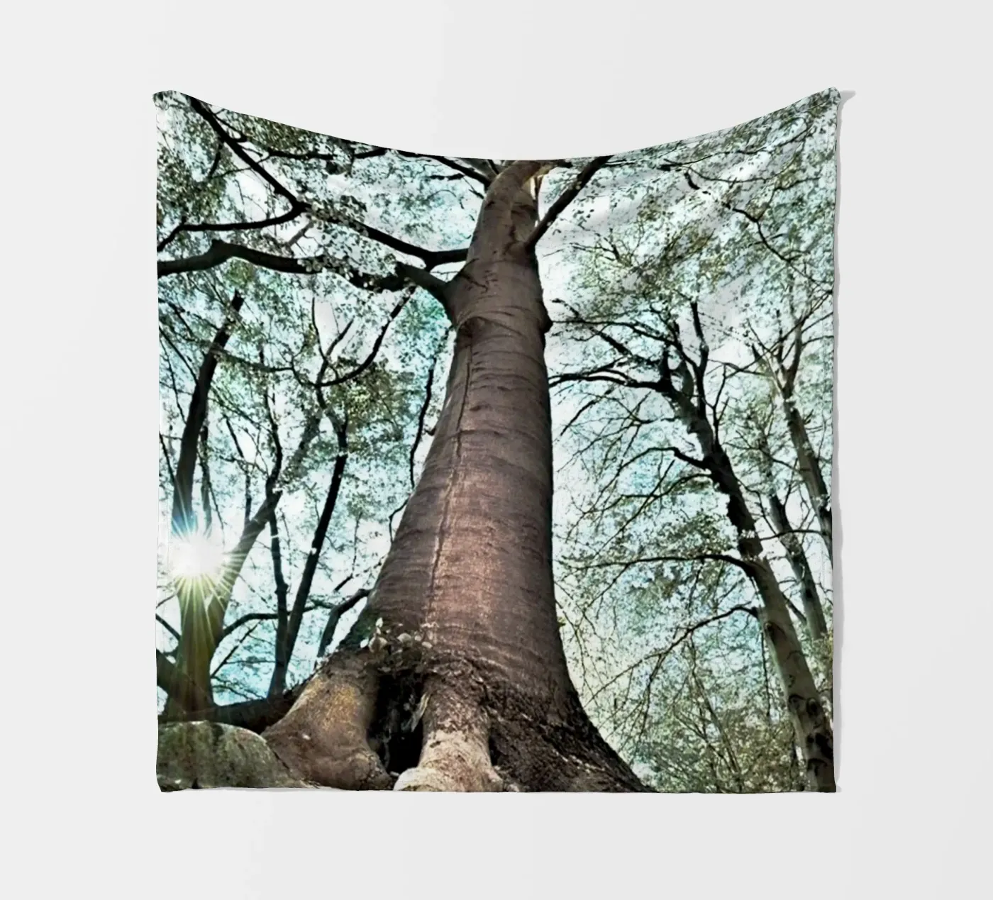 Albero della foresta coperta in pile da rapunsell