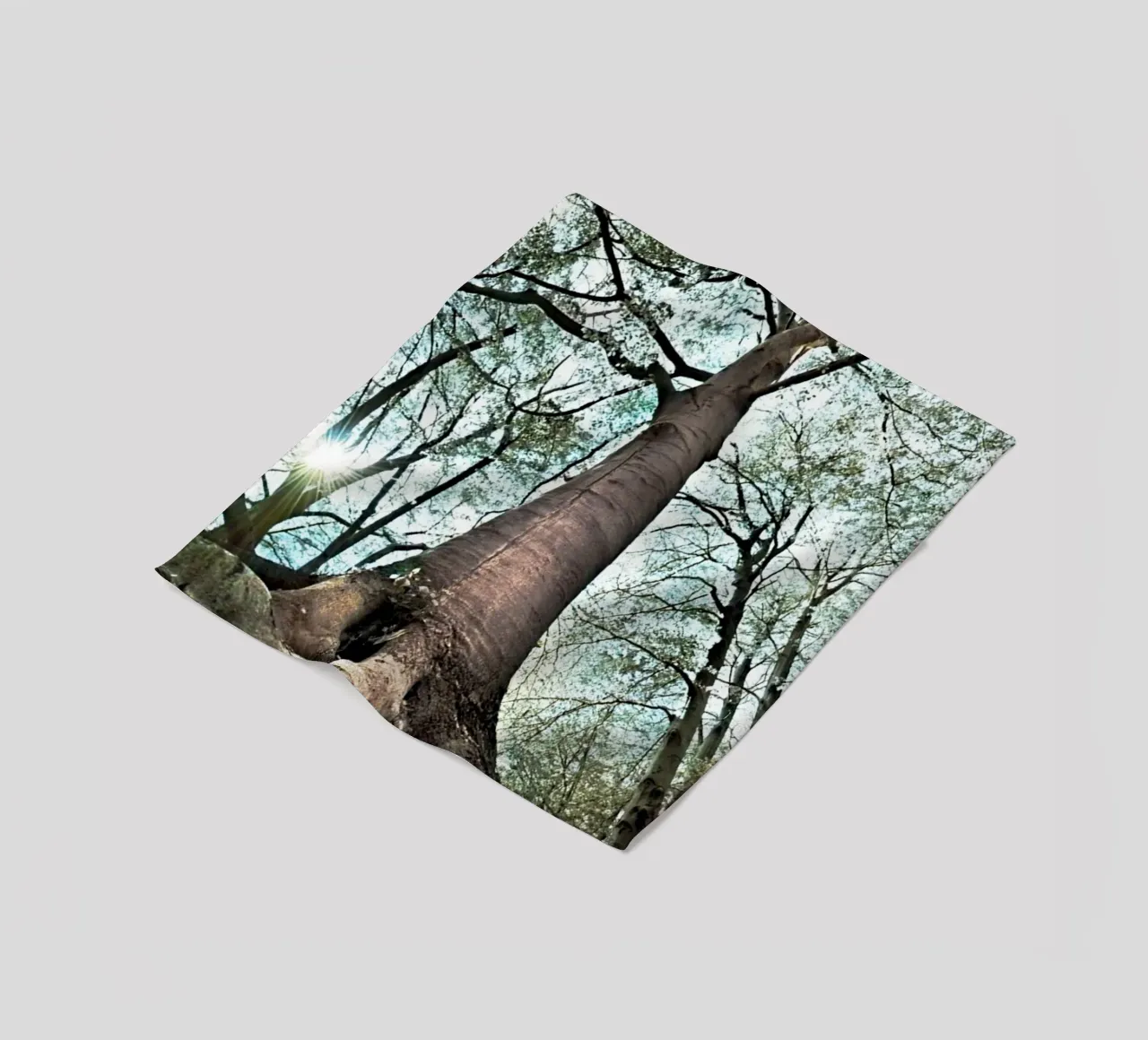 Waldbaum Fleecedecke von rapunsell