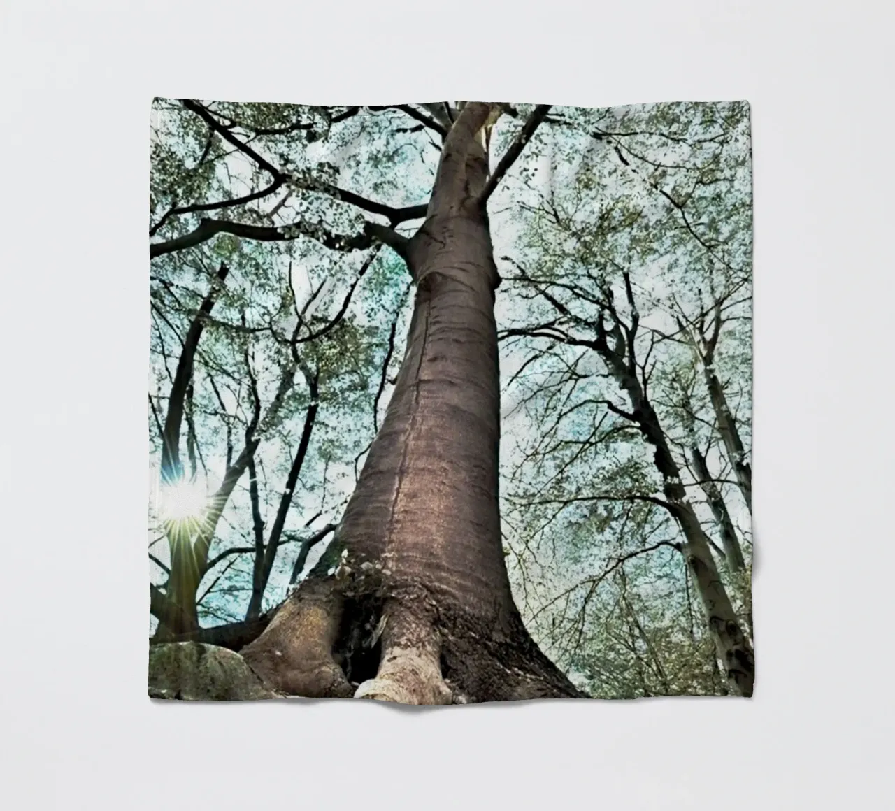 Waldbaum Fleecedecke von rapunsell