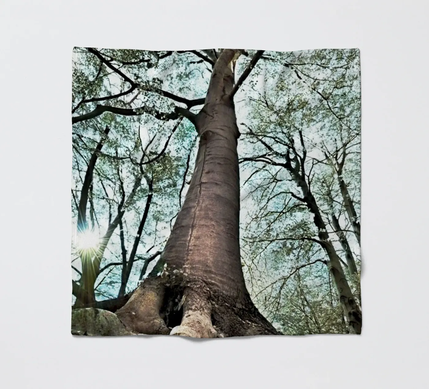 Albero della foresta coperta in pile da rapunsell