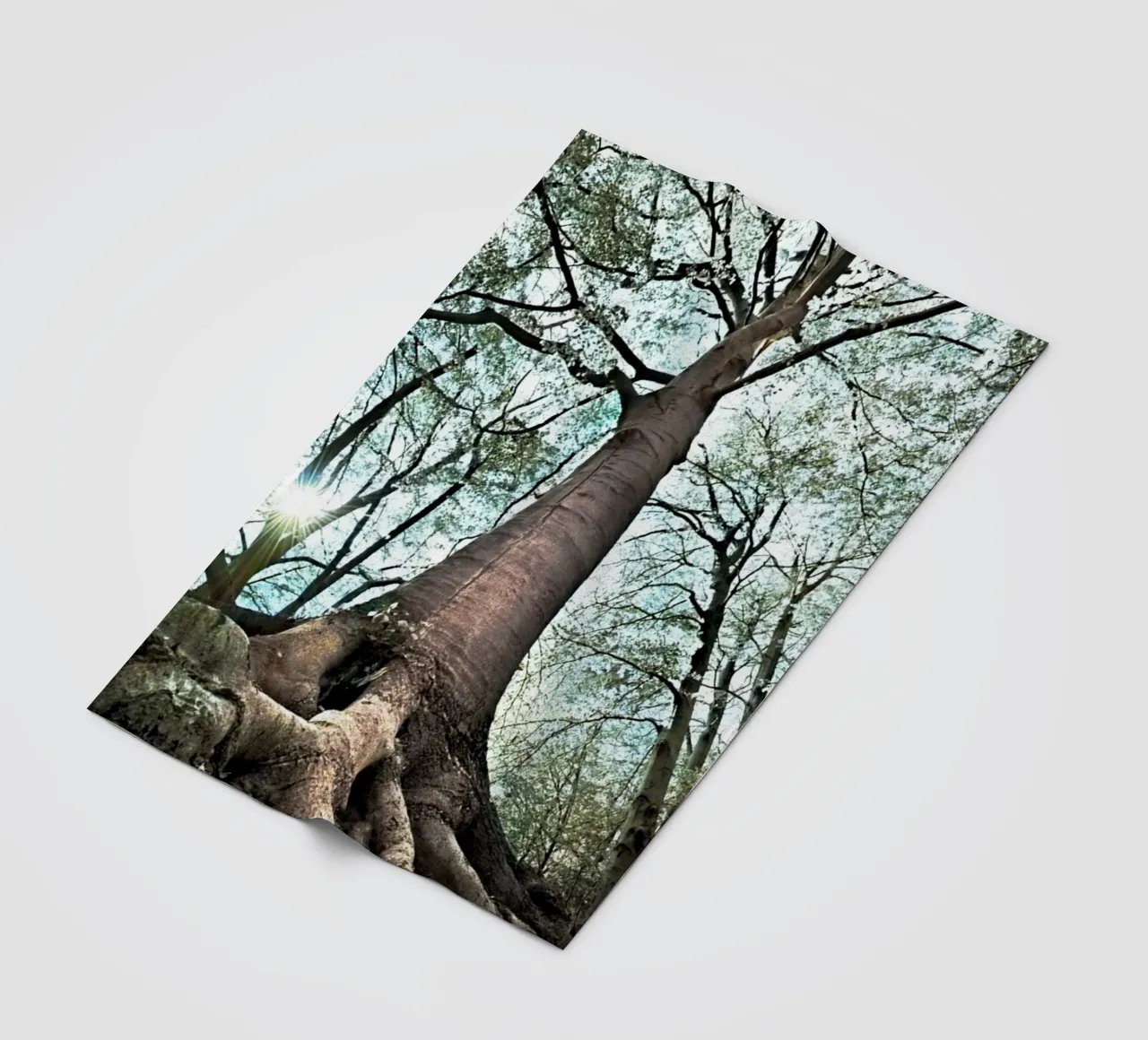 Waldbaum Fleecedecke von rapunsell