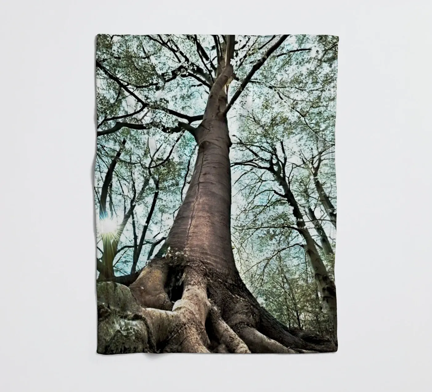 Albero della foresta coperta in pile da rapunsell