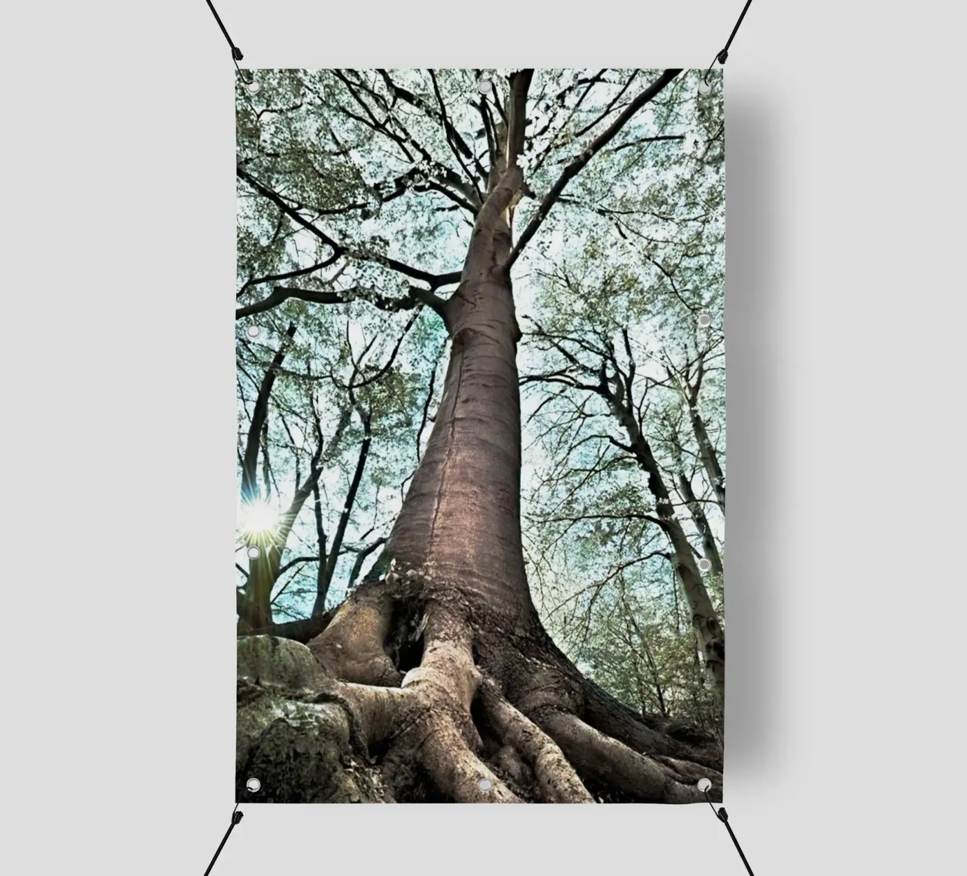 Forest Tree PVC Plane von rapunsell