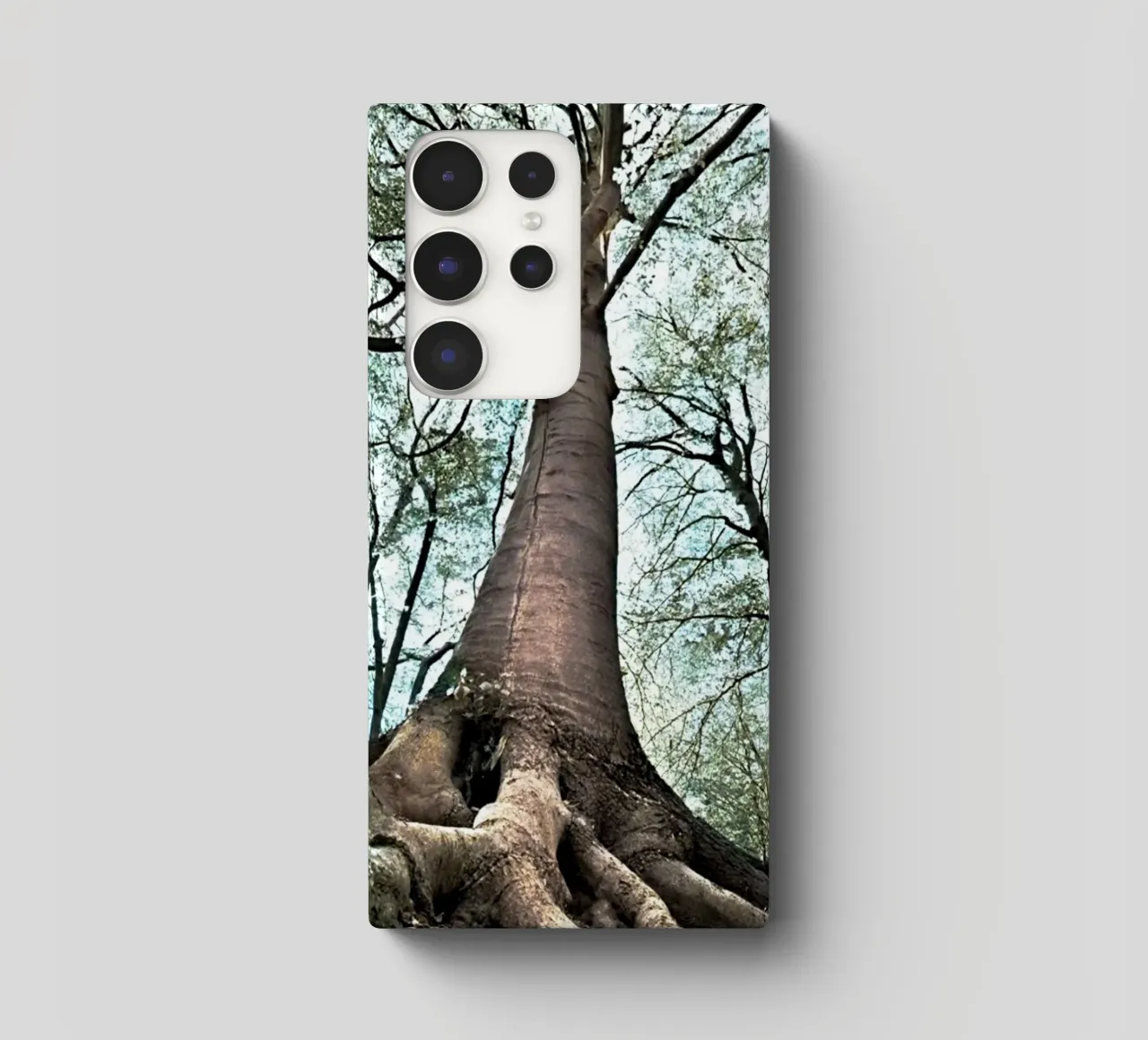 Albero della foresta cover samsung da rapunsell