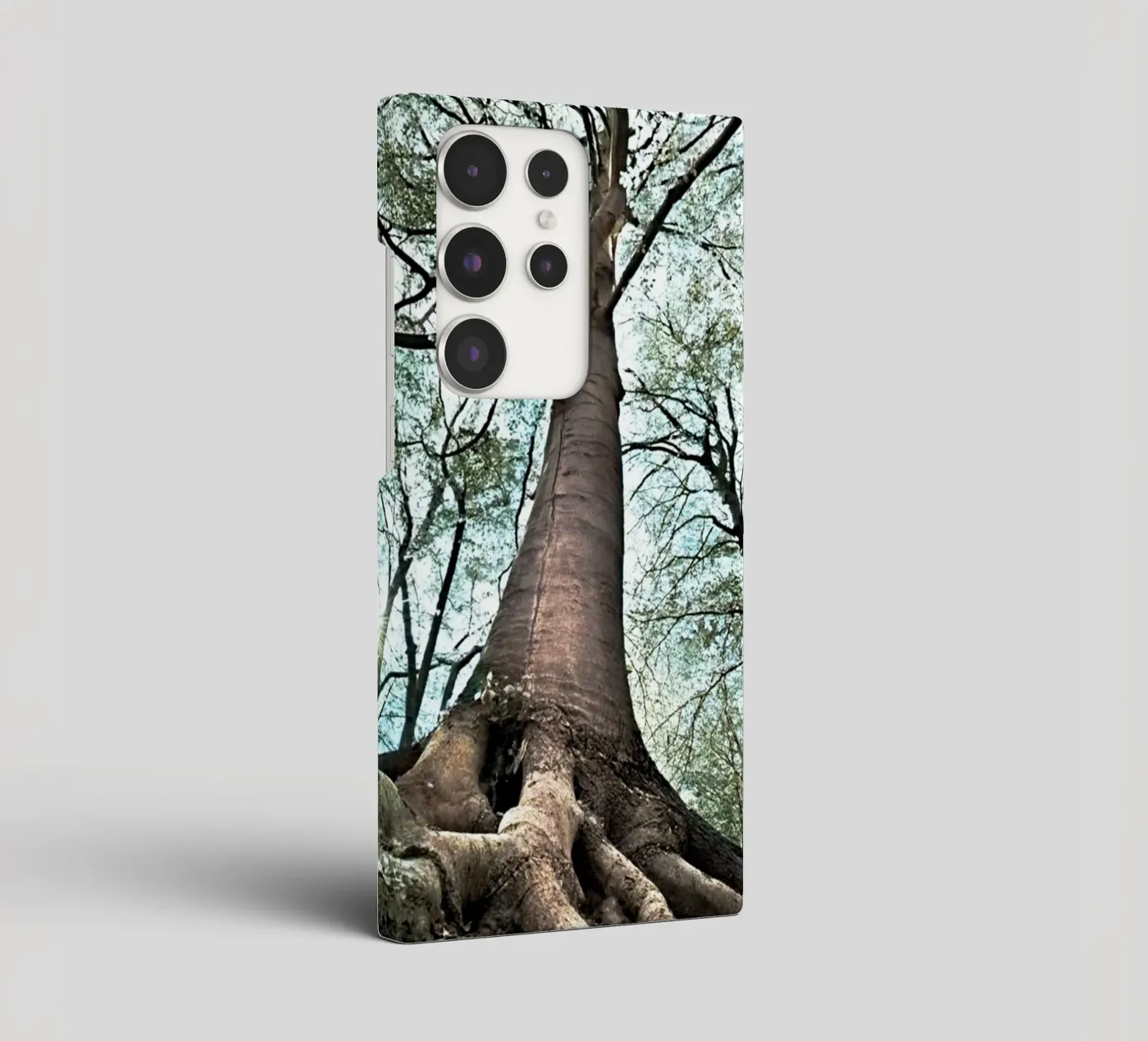 Albero della foresta cover samsung da rapunsell