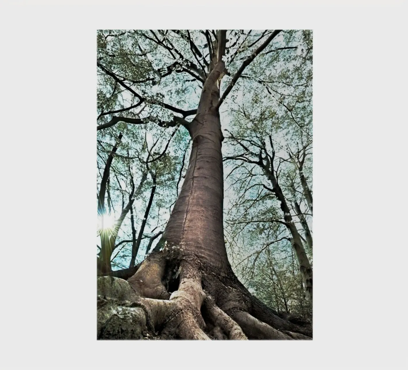 Forest Tree notebook by rapunsell