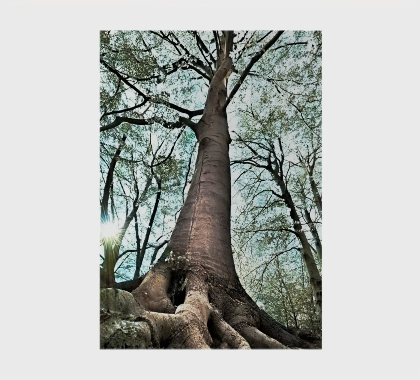 Forest Tree notebook by rapunsell