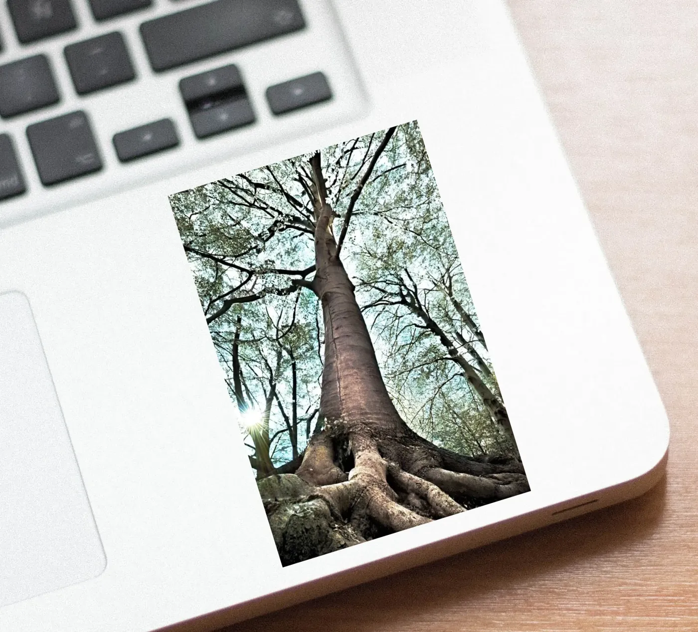 Forest Tree Sticker von rapunsell