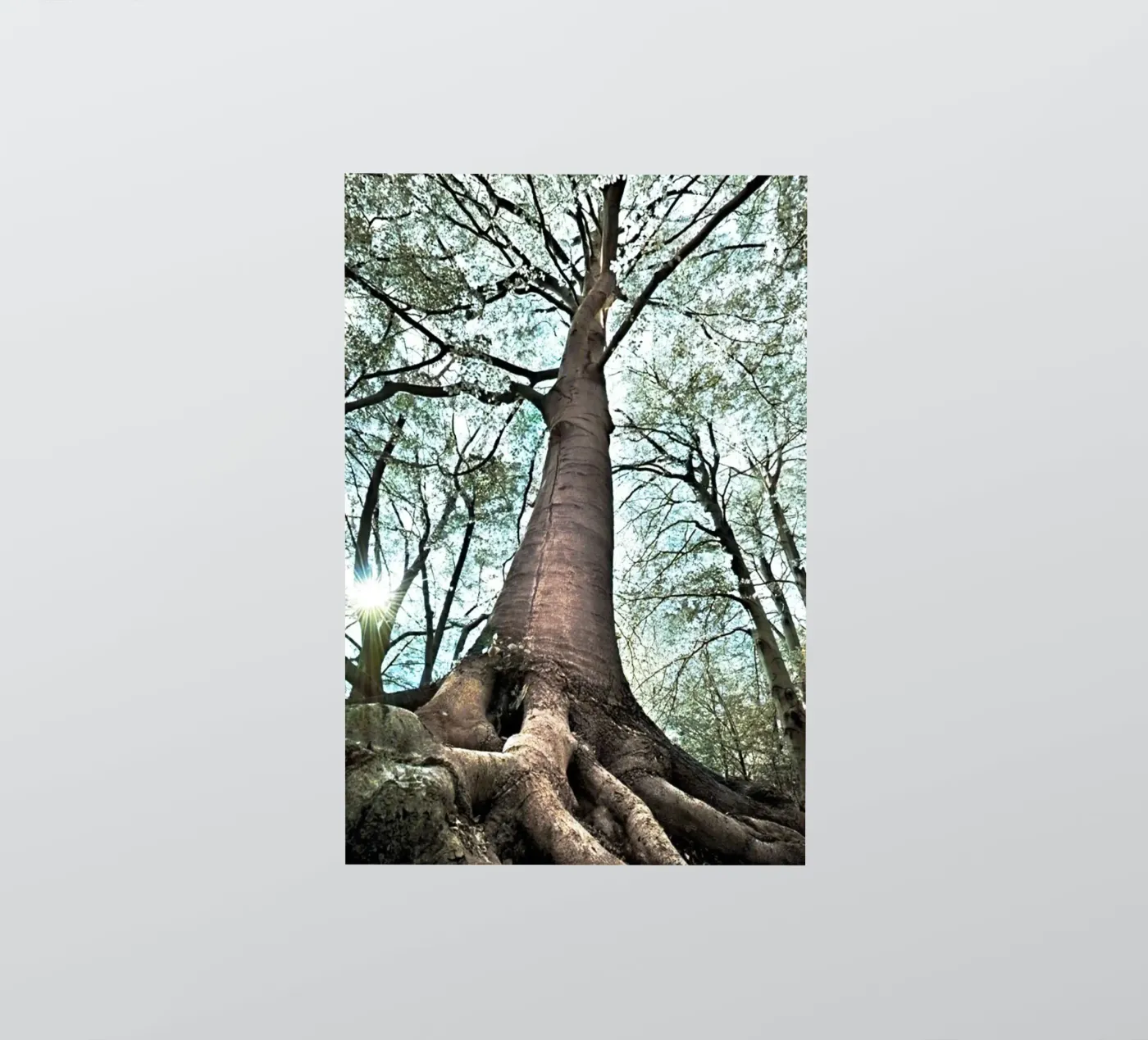 Forest Tree Sticker von rapunsell