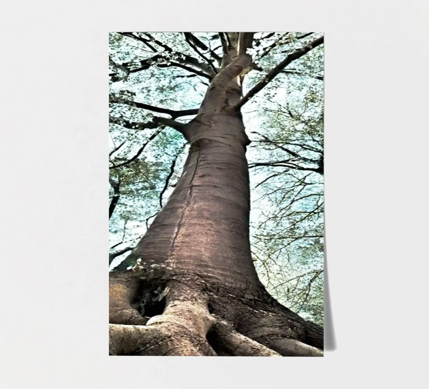 Bosboom stickervel van rapunsell