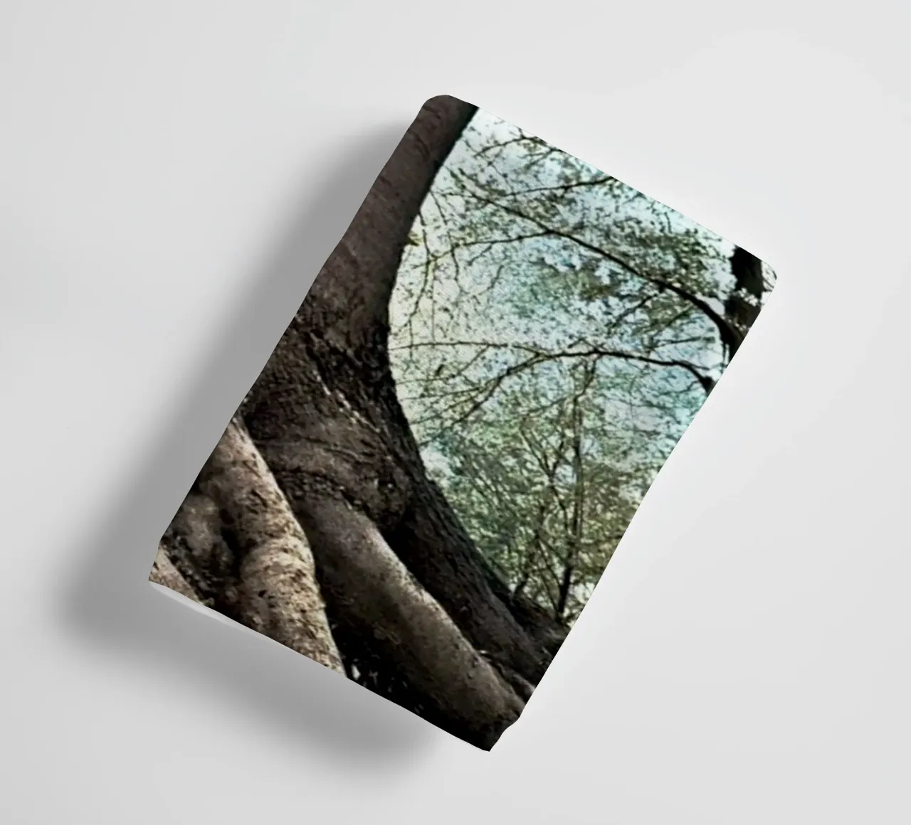 Forest Tree towel by rapunsell