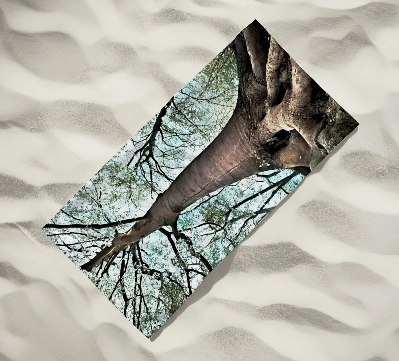 Forest Tree Strandtuch von rapunsell