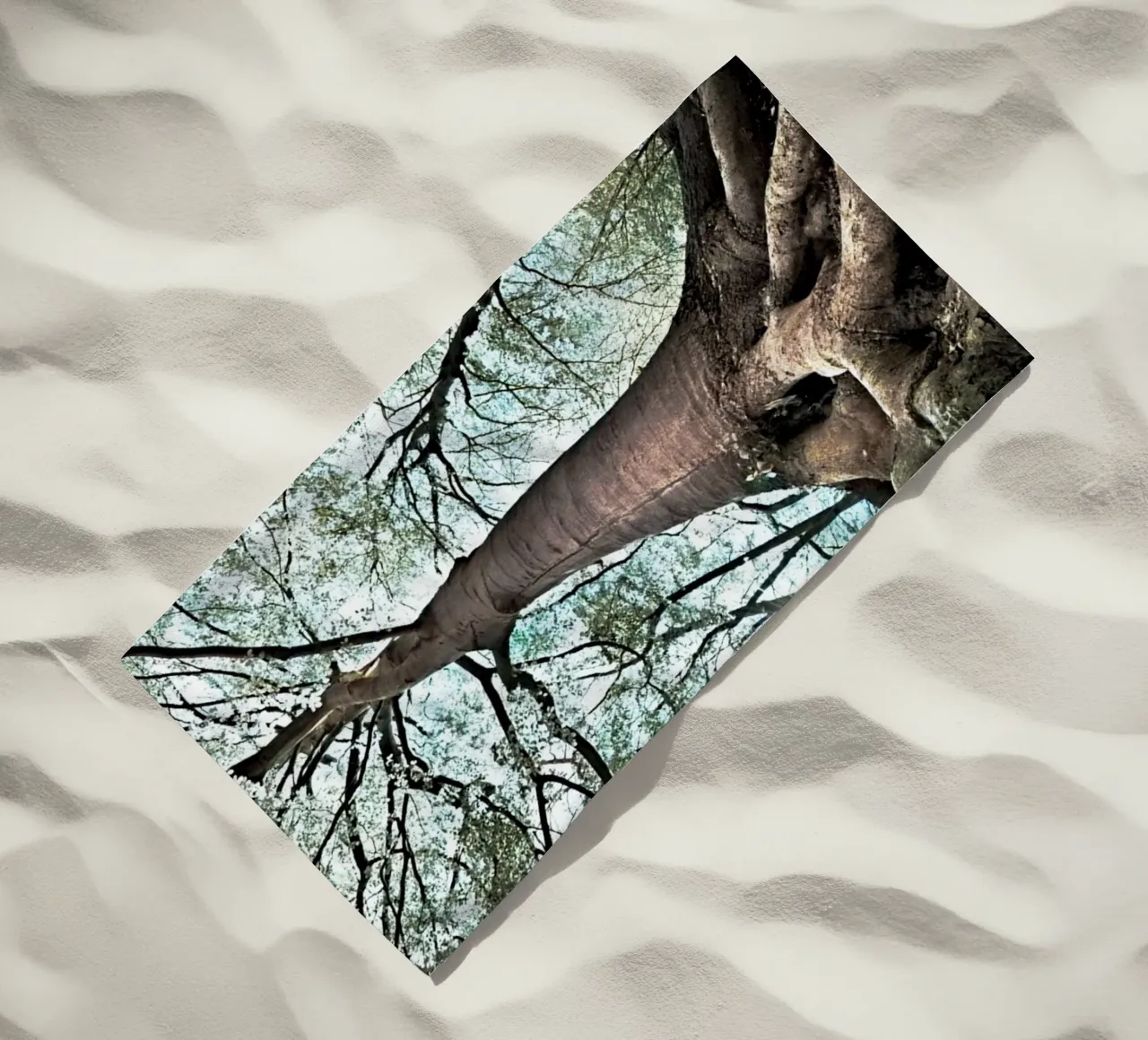 Albero della foresta telo mare da rapunsell