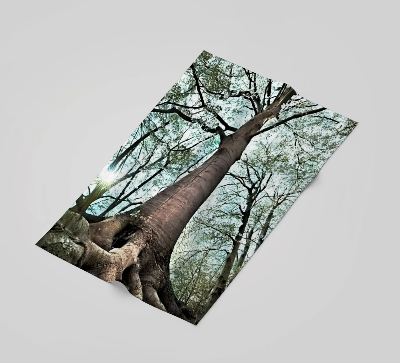 Forest Tree serviette de plage de rapunsell