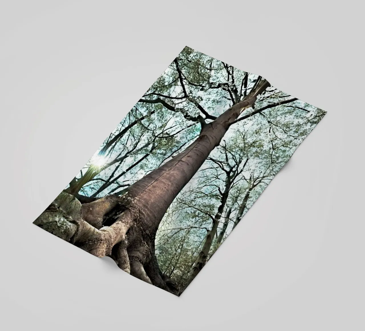 Albero della foresta telo mare da rapunsell