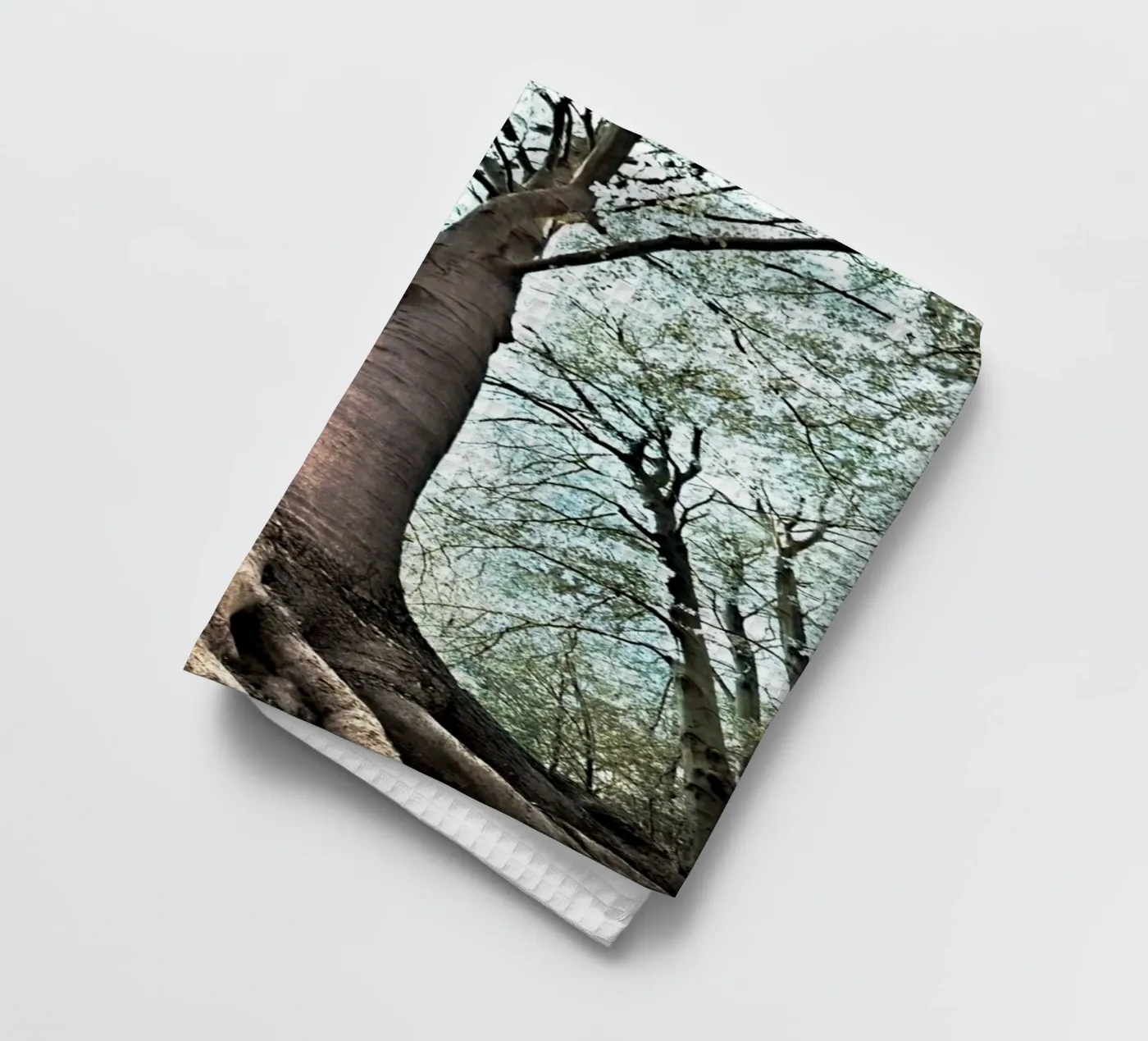 Arbre forestier torchon de rapunsell