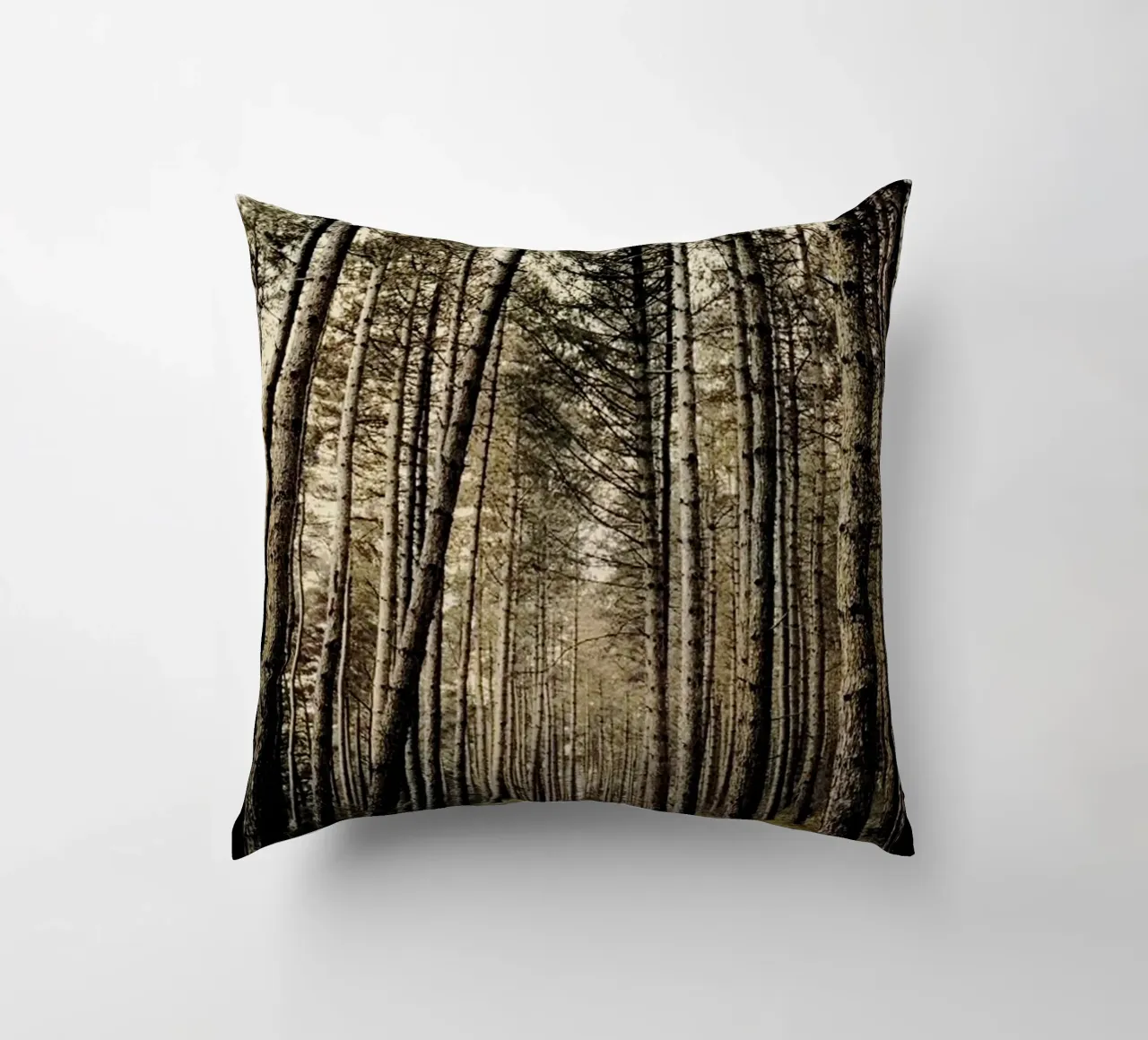 Pine Forest Photography decorative cushion by rapunsell