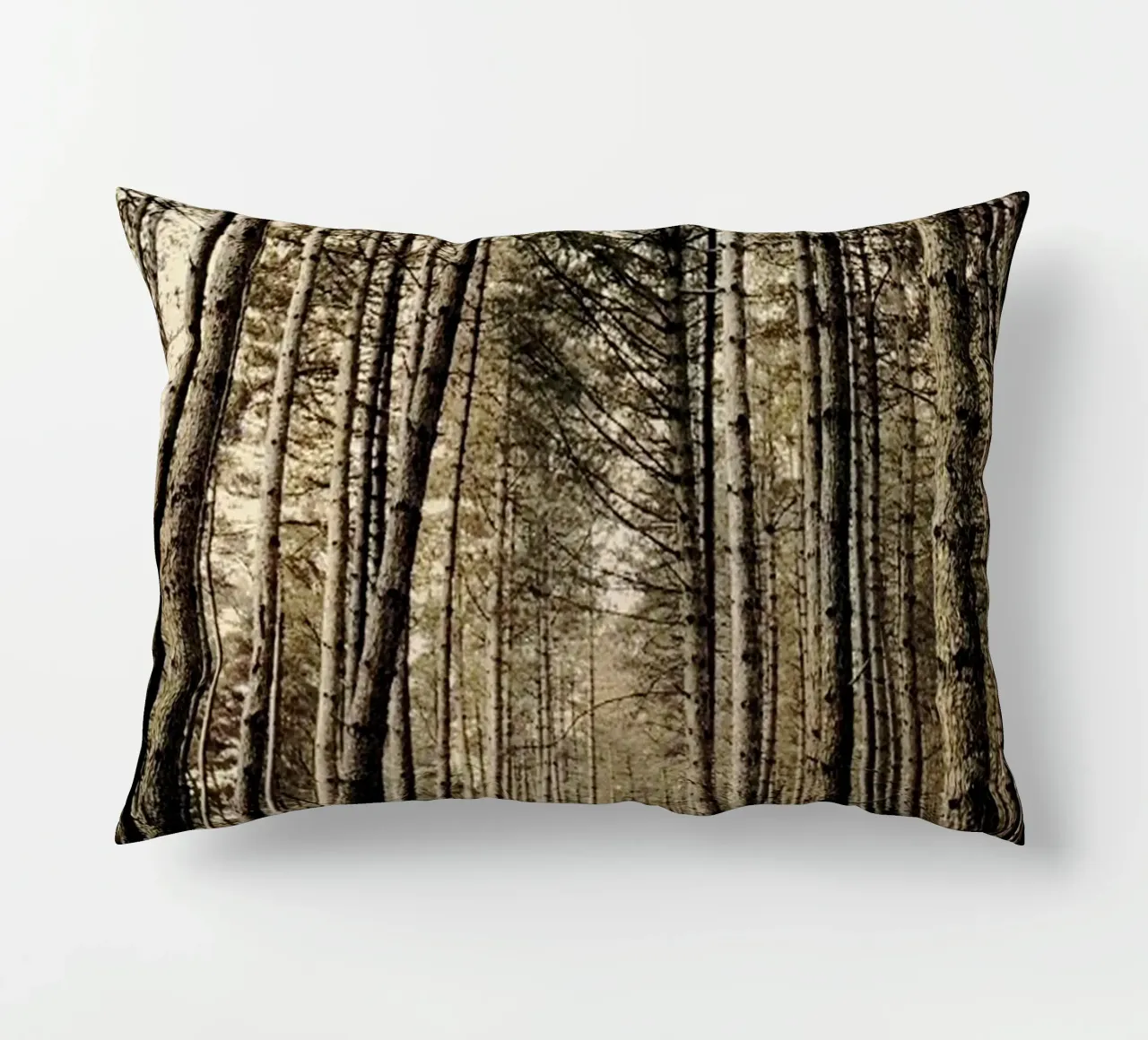 Pine Forest Photography decorative cushion by rapunsell
