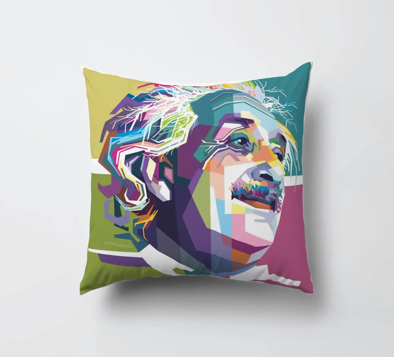 Einstein Quotes decorative cushion by Alkahfsmart
