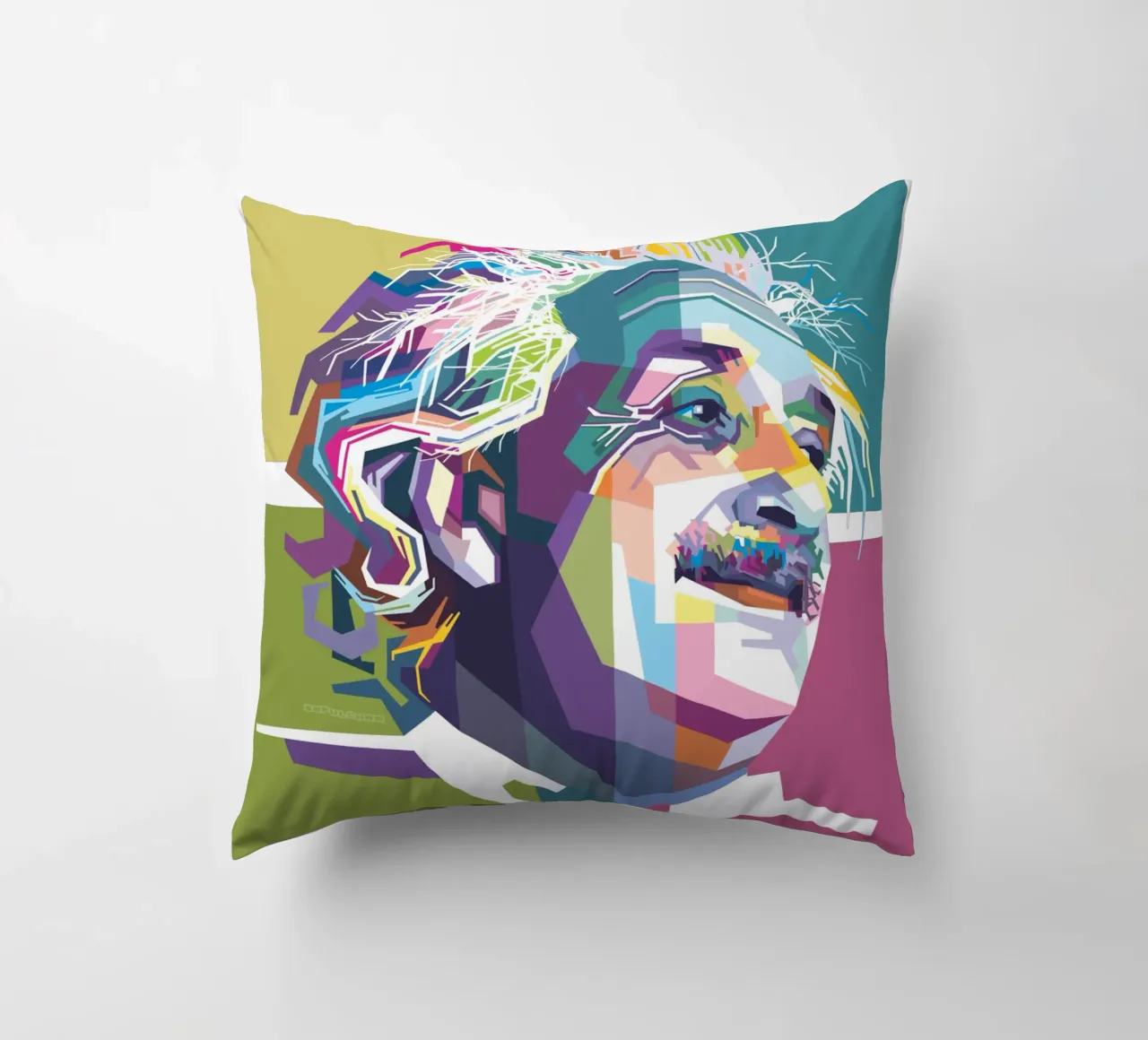 Einstein Quotes decorative cushion by Alkahfsmart