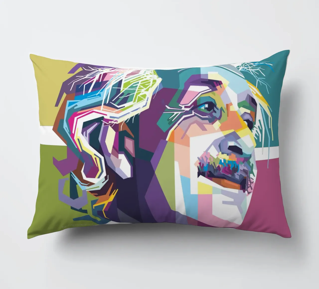 Einstein Quotes decorative cushion by Alkahfsmart