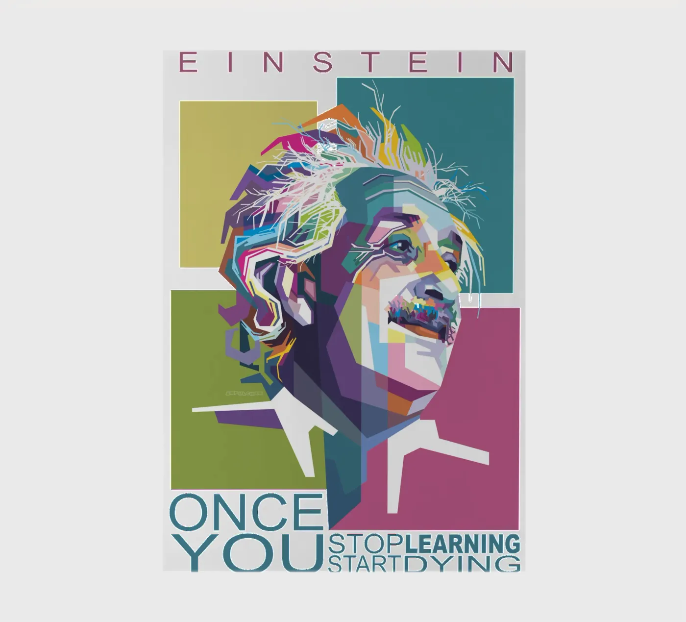 Citations d'Einstein carnet de Alkahfsmart