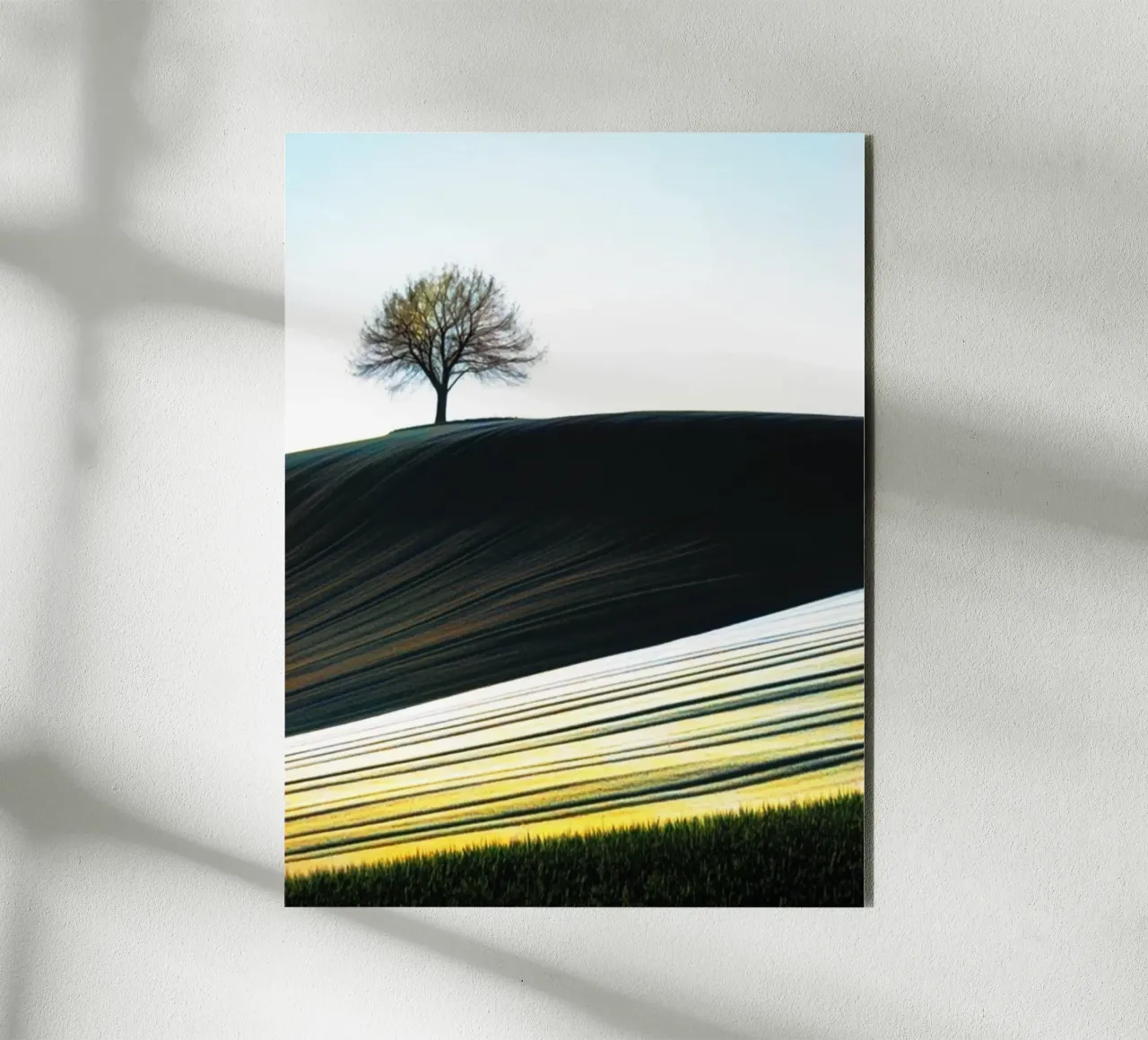 Albero su una collina alluminio dibond da rapunsell