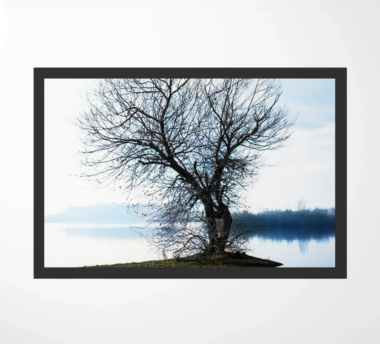 albero sul fiume zerbino da rapunsell