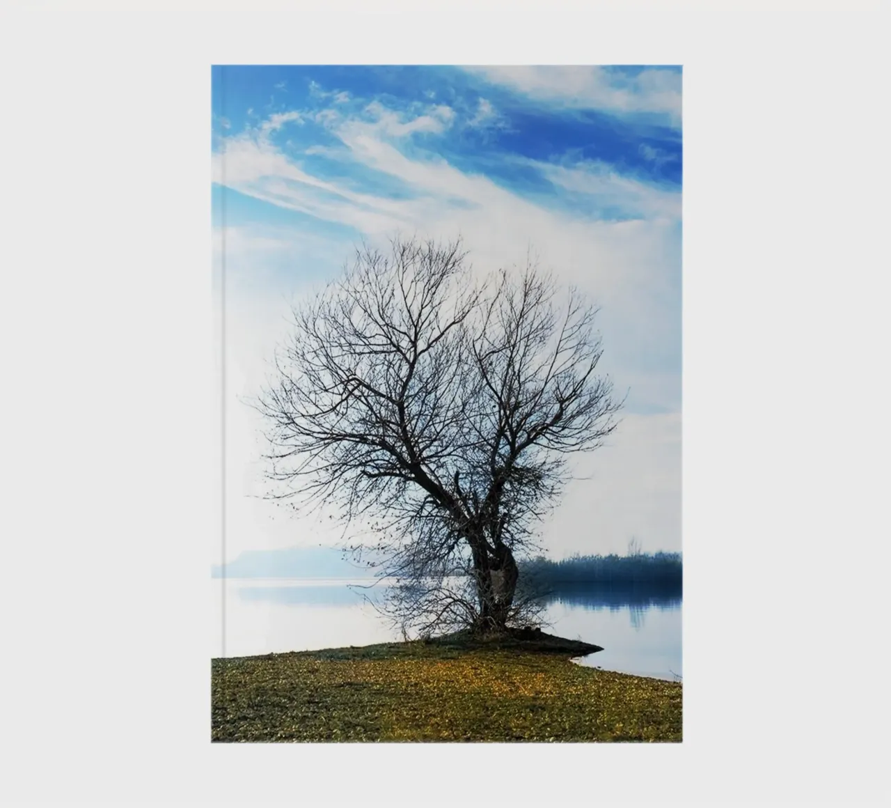 tree on the river notebook by rapunsell