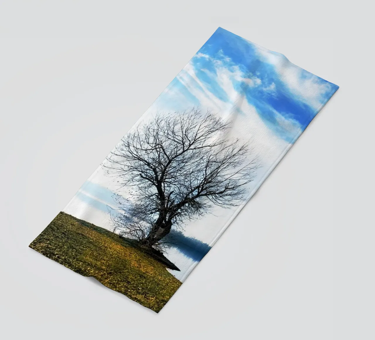albero sul fiume telo mare da rapunsell