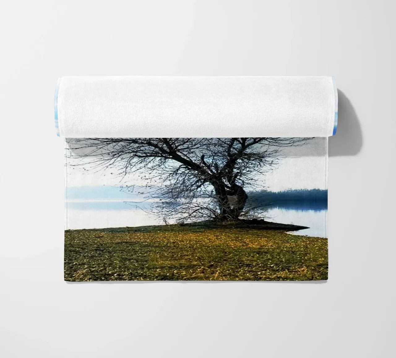 albero sul fiume telo mare da rapunsell