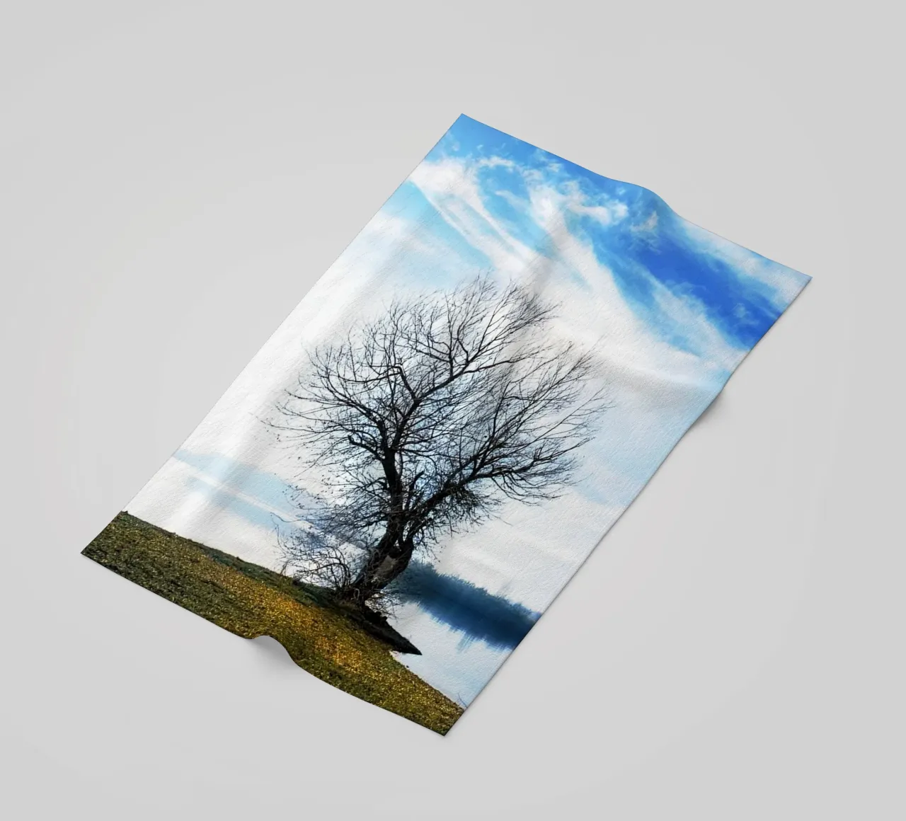 albero sul fiume telo mare da rapunsell