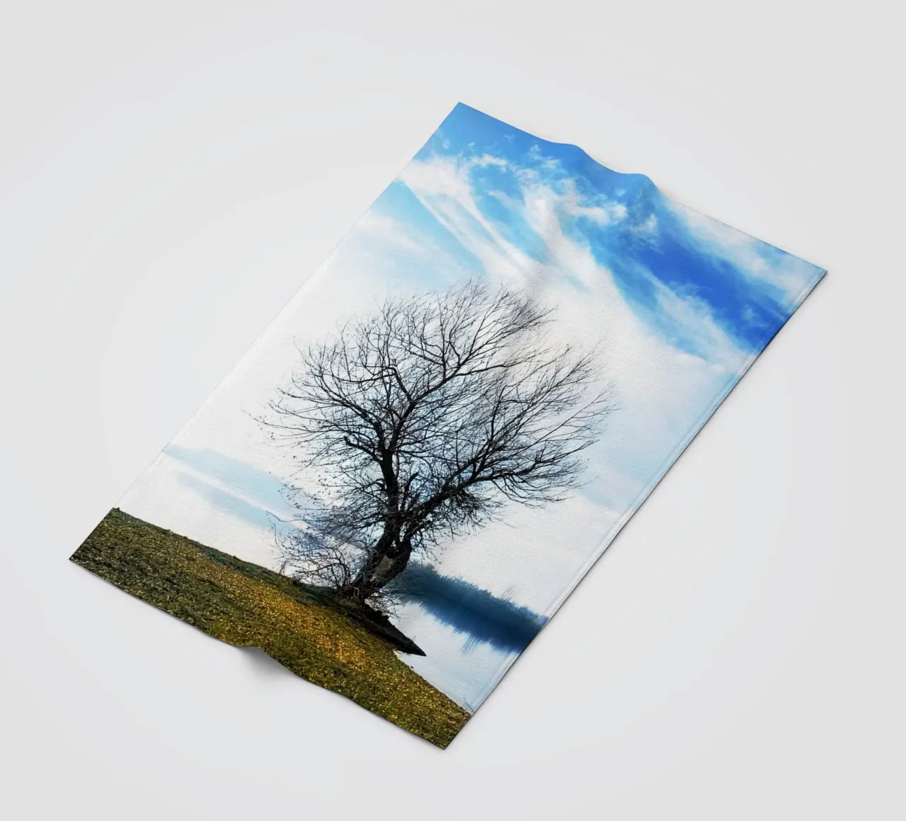 albero sul fiume coperta in pile da rapunsell