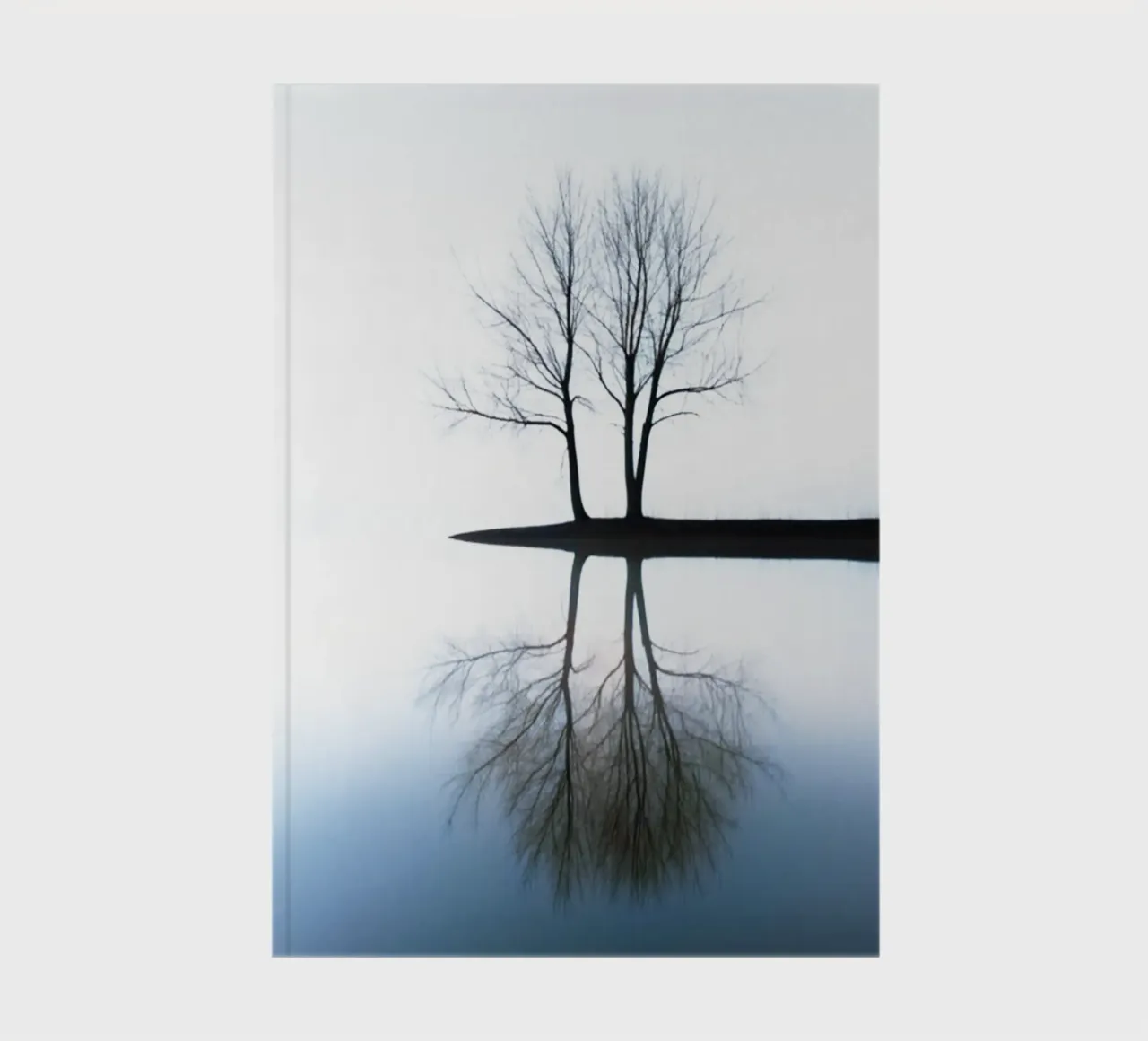 Two dry trees on a Lake notebook by rapunsell