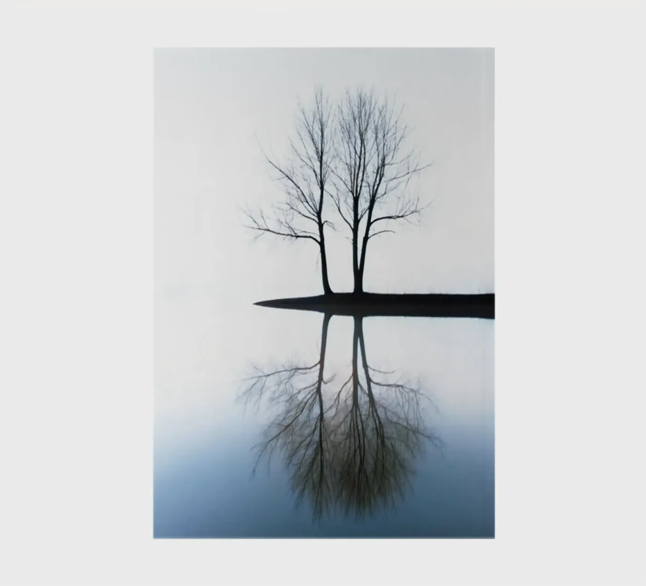 Two dry trees on a Lake notebook by rapunsell