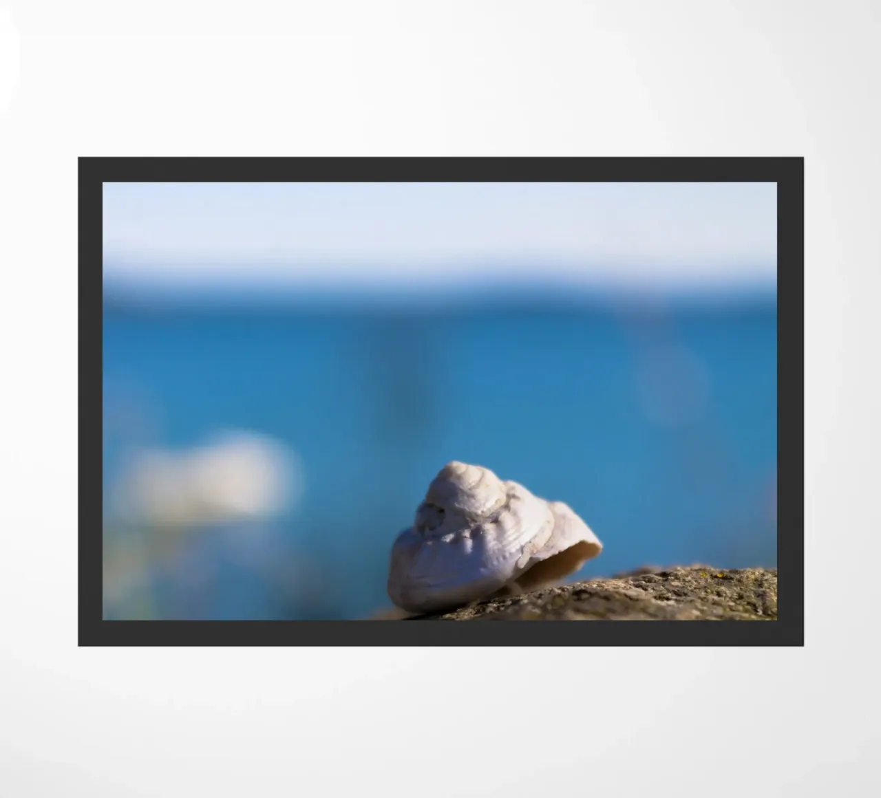 Pearly shells doormat by MiniClic