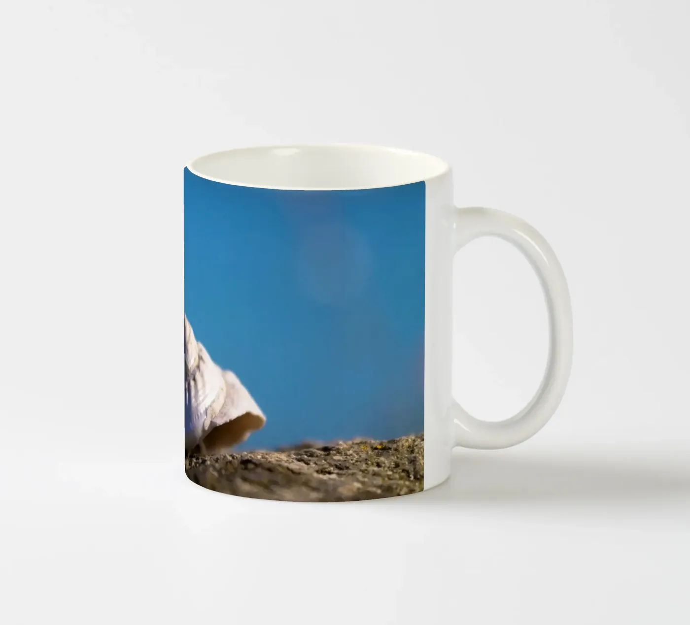 Pearly shells ceramic mug by MiniClic