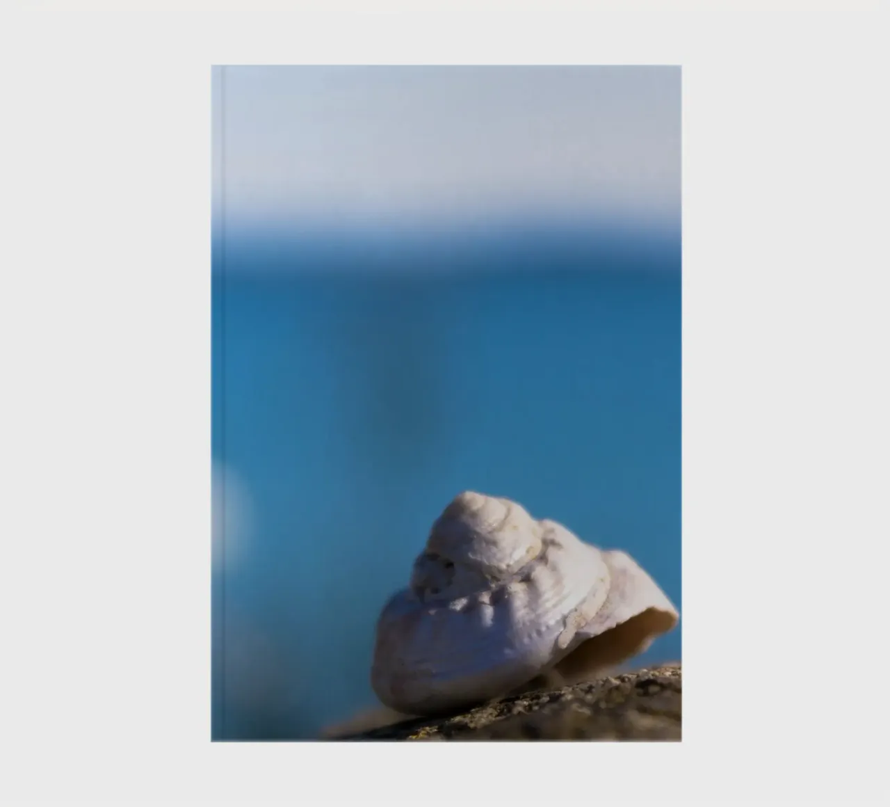 Pearly shells notebook by MiniClic