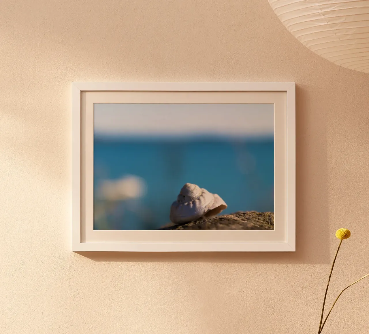 Pearly shells poster da MiniClic