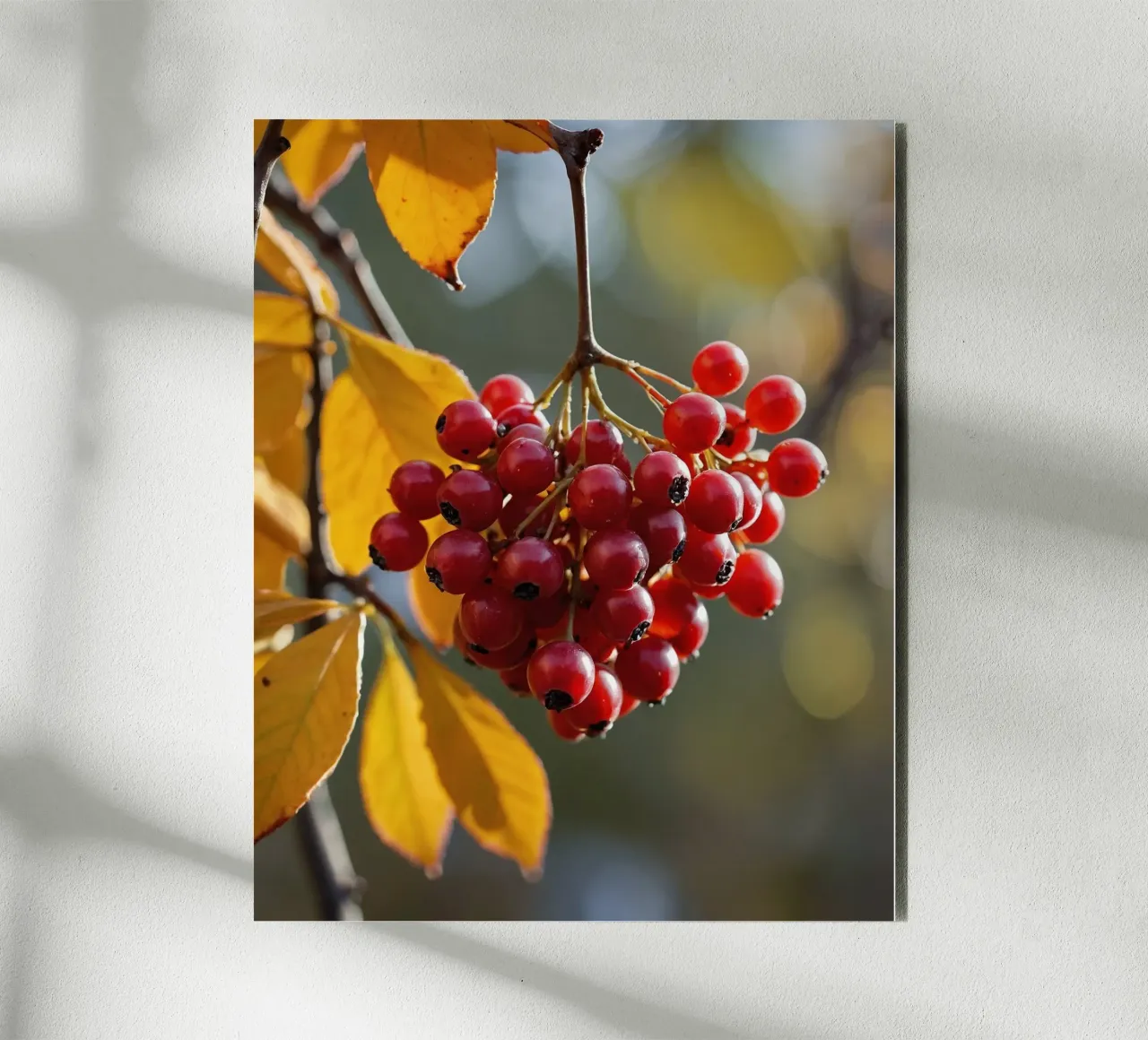 Vibrazioni d'autunno alluminio dibond da PhotoVibe Decor