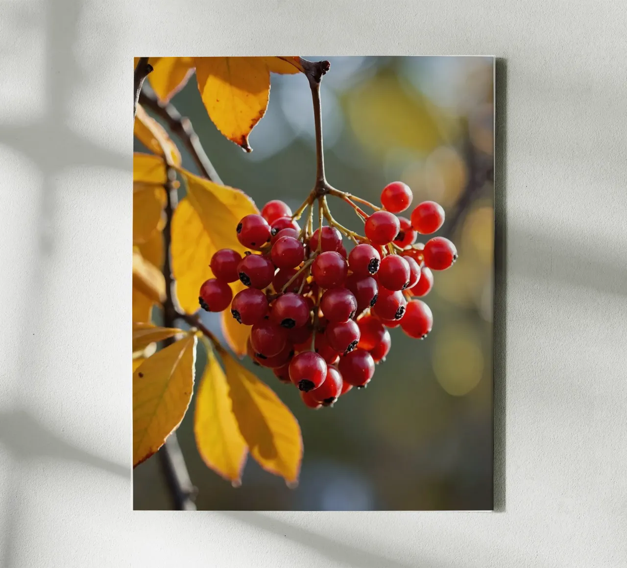 Vibrazioni d'autunno tela da PhotoVibe Decor