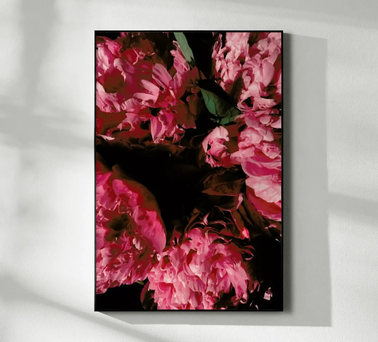 Rose Blossoms plexiglass da Sebastian Hilgetag