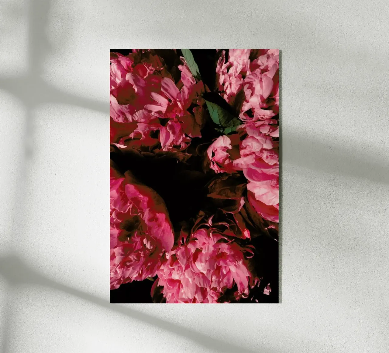 Rose Blossoms plexiglass da Sebastian Hilgetag