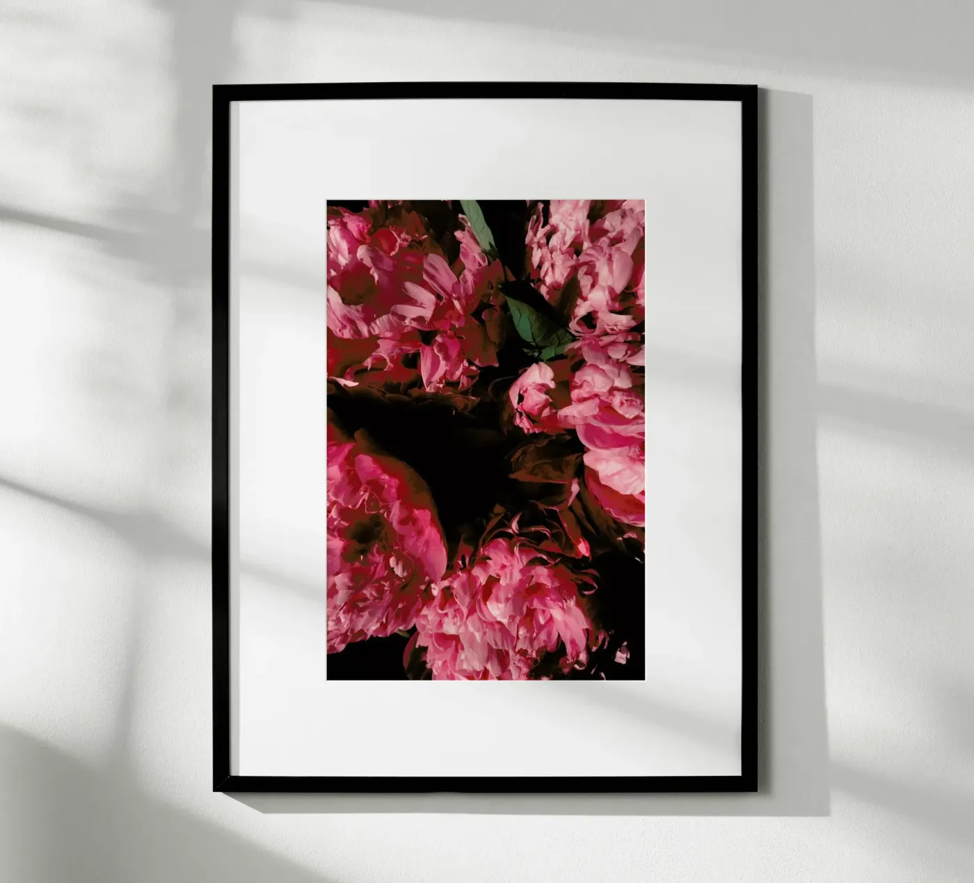 Rose Blossoms poster da Sebastian Hilgetag
