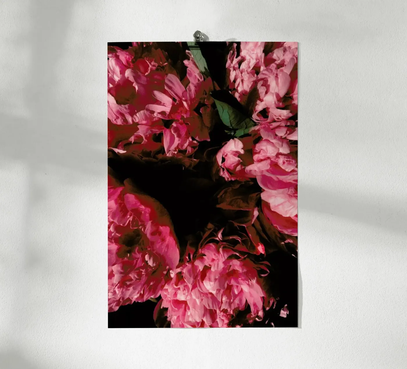 Rose Blossoms poster da Sebastian Hilgetag