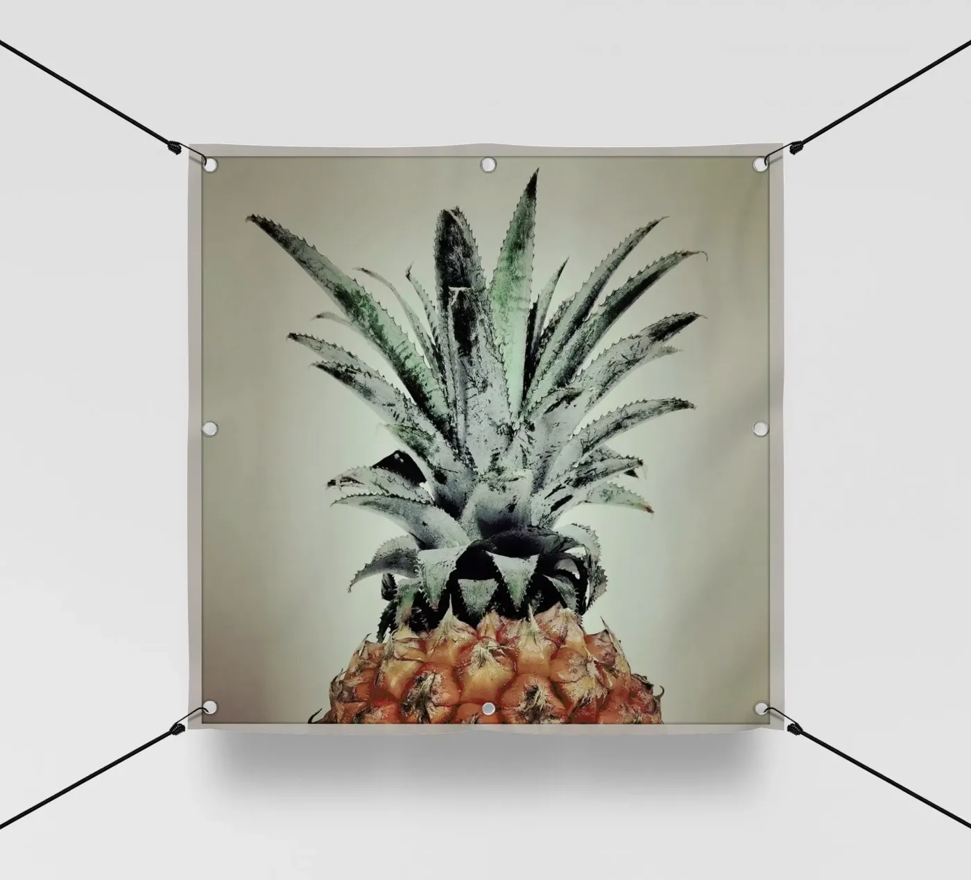 Pine Nutty pvc cover by Ballack Art House