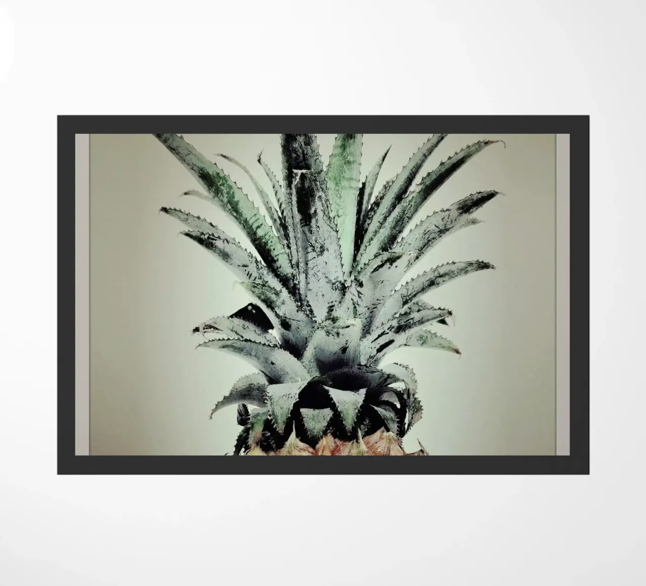 Pine Nutty zerbino da Ballack Art House