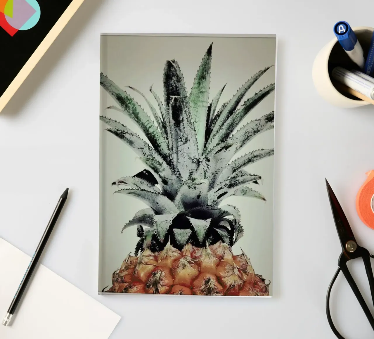 Pine Nutty notebook by Ballack Art House