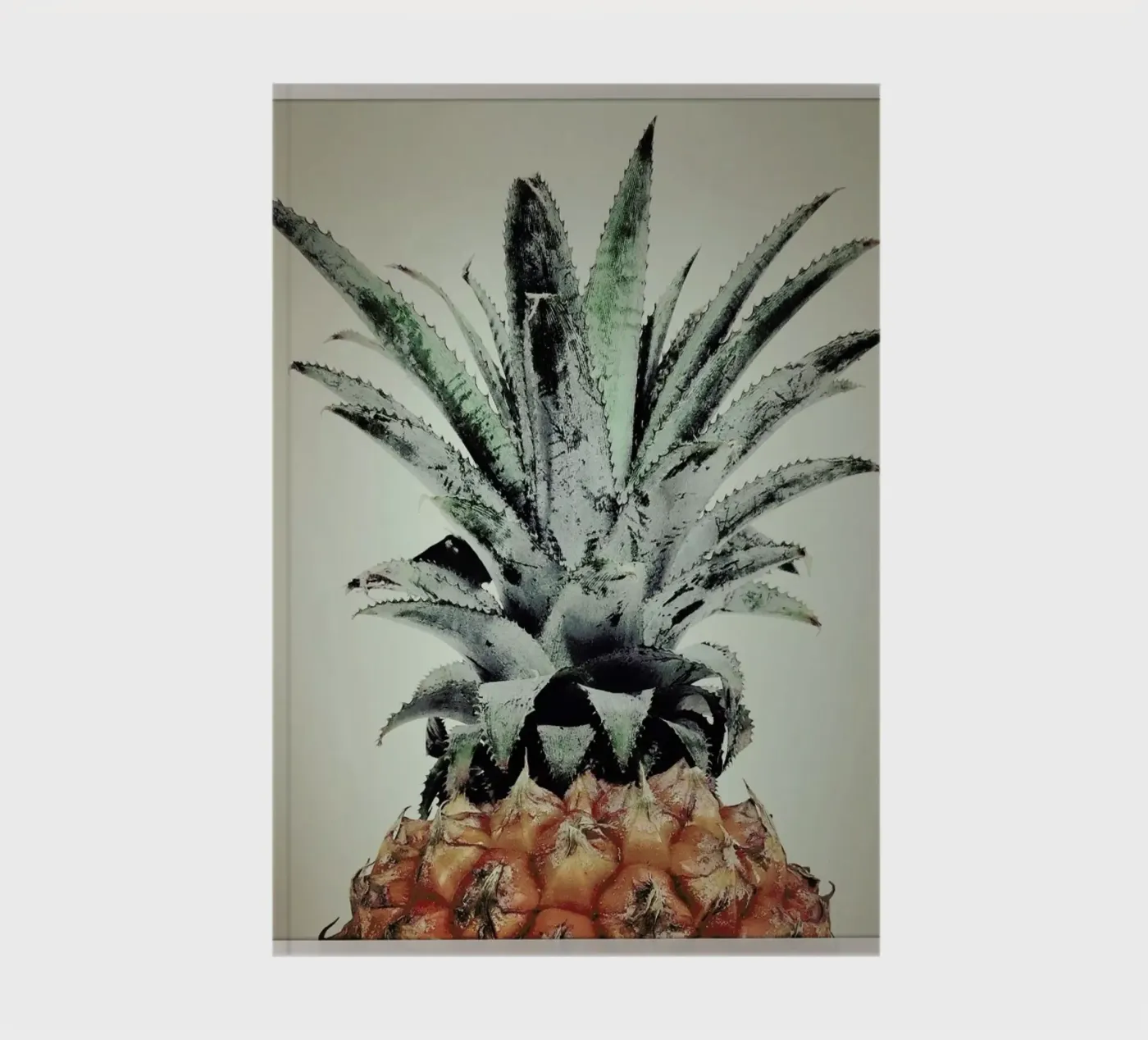 Pine Nutty notebook by Ballack Art House