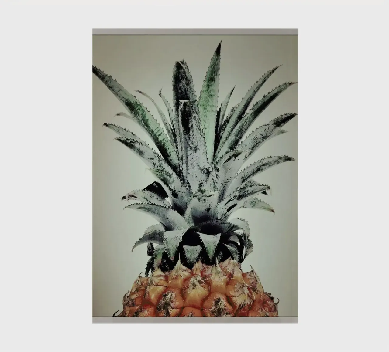 Pine Nutty notebook by Ballack Art House